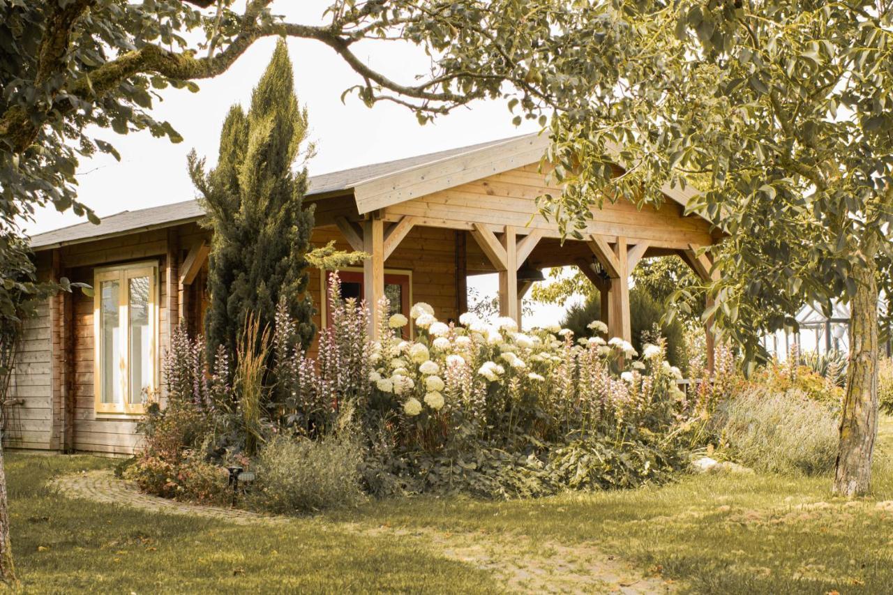 Chalet Ben In Broek Benningbroek Exterior foto
